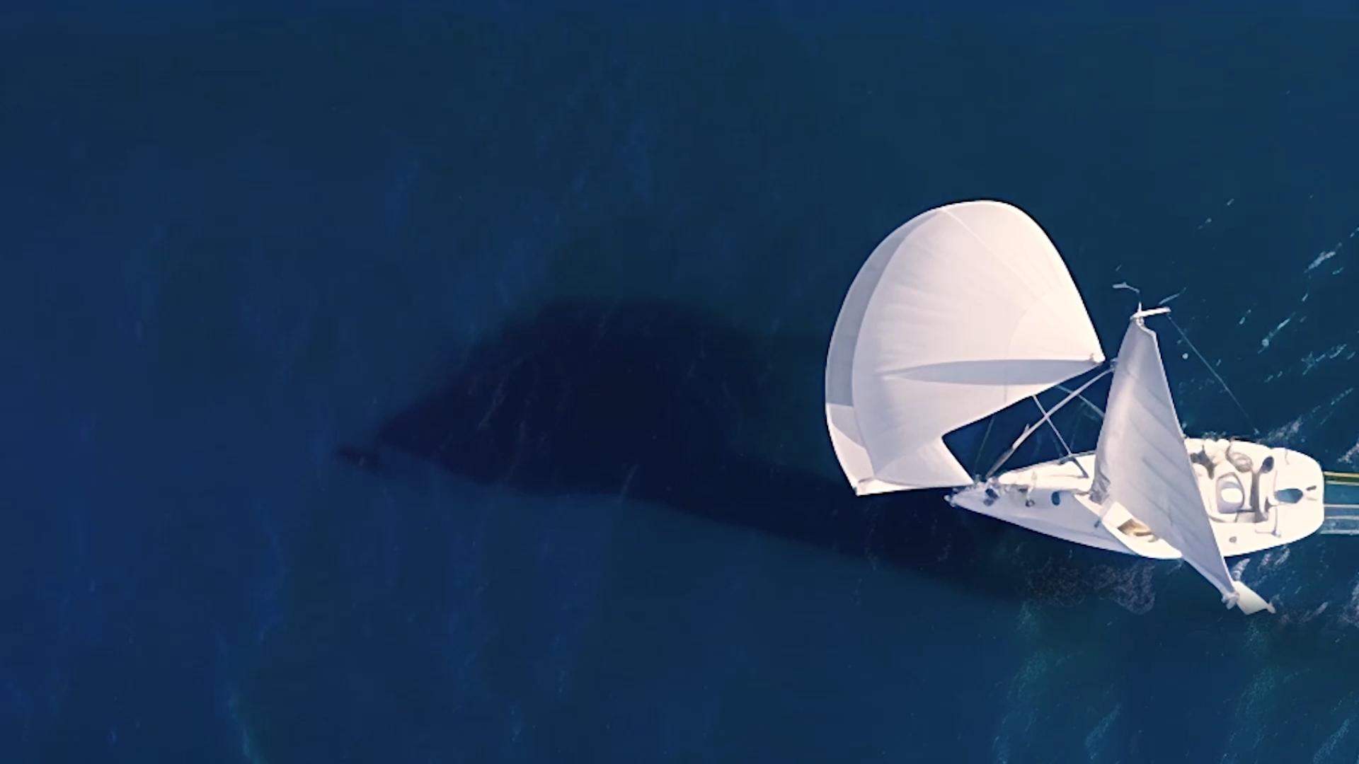 Home SEASALT Properties